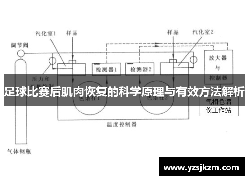 足球比赛后肌肉恢复的科学原理与有效方法解析